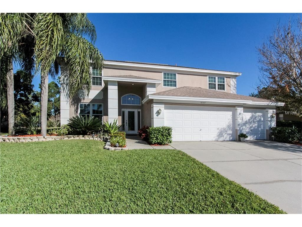 18507 Bittern Ave, Lutz, FL 33558 photo 1