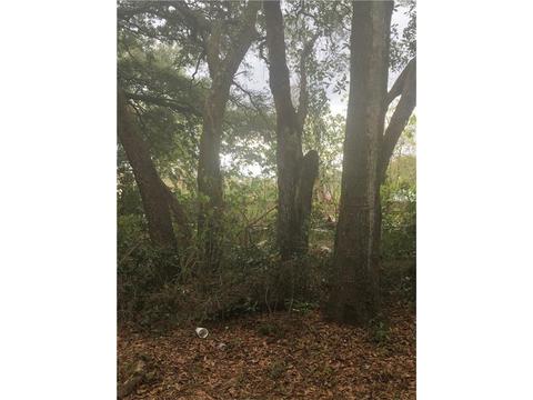 1024 Robson Ave, Seffner, FL 33584 photo 1