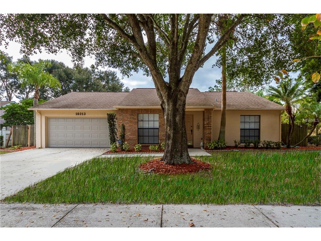 10313 Ashley Oaks Dr, Riverview, FL 33578 photo 1