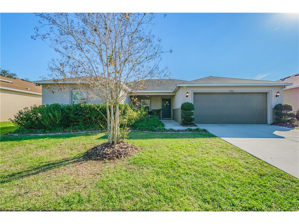 10921 Pond Pine Dr, Riverview, FL 33569 photo 1