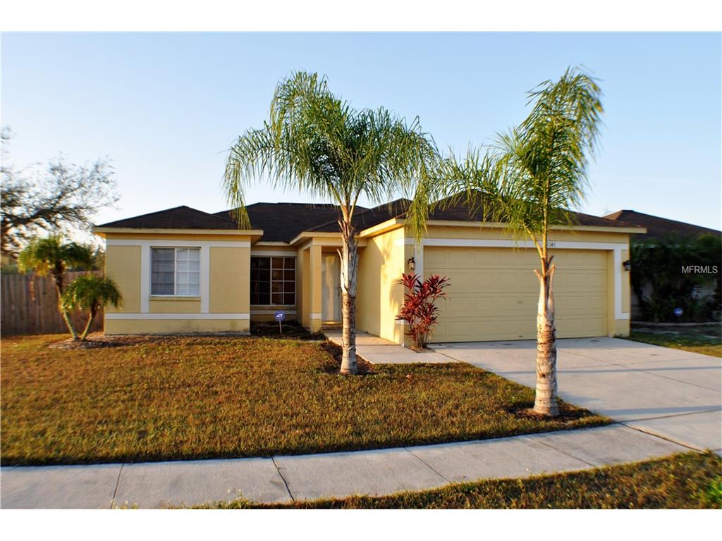 12141 Buffington Ln, Riverview, FL 33579 photo 1