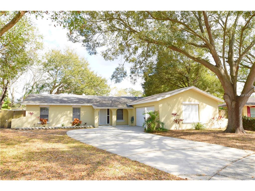 1011 Celtic Ct, Brandon, FL 33510 photo 1