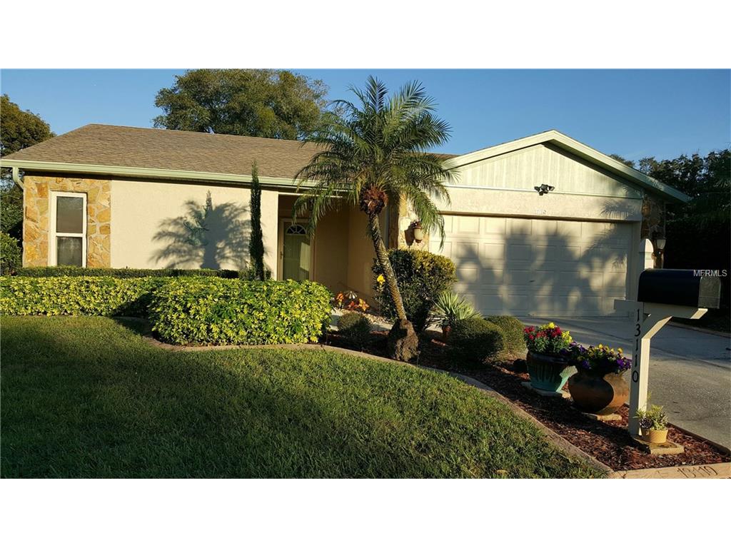 13110 Elgar Pl, Riverview, FL 33579 photo 1