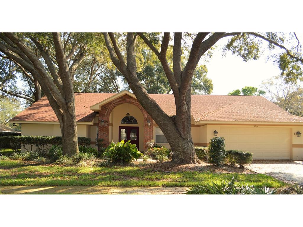 3918 Buckingham Loop Dr, Valrico, FL 33594 photo 1