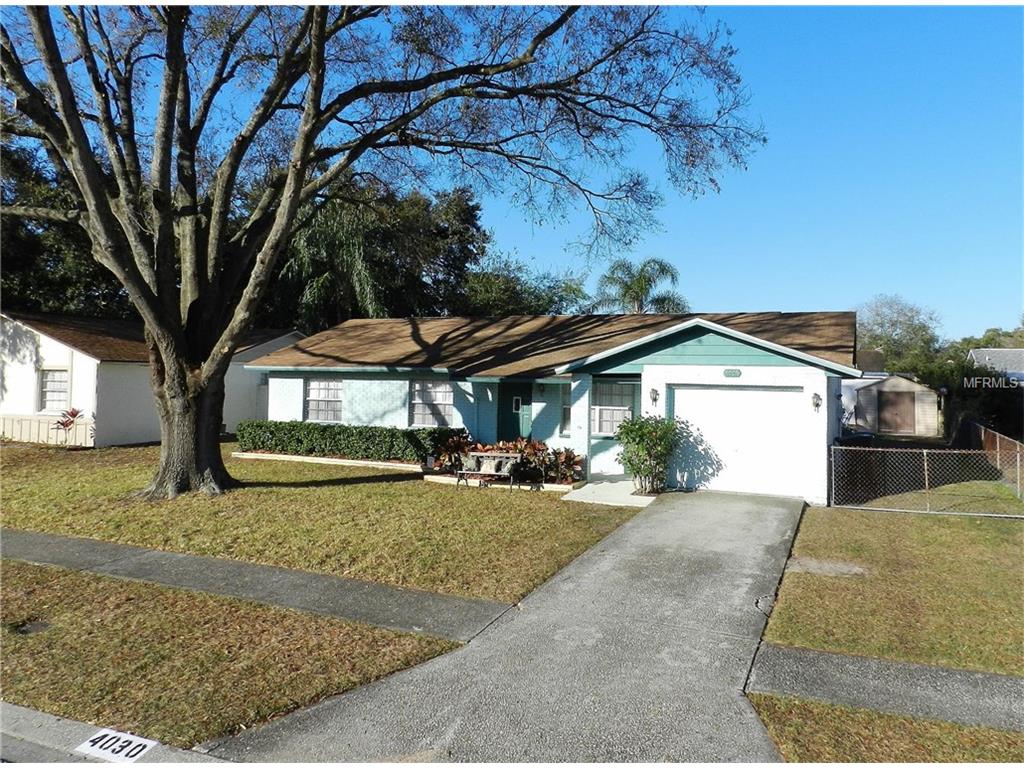 4030 Truman Dr, Seffner, FL 33584 photo 1