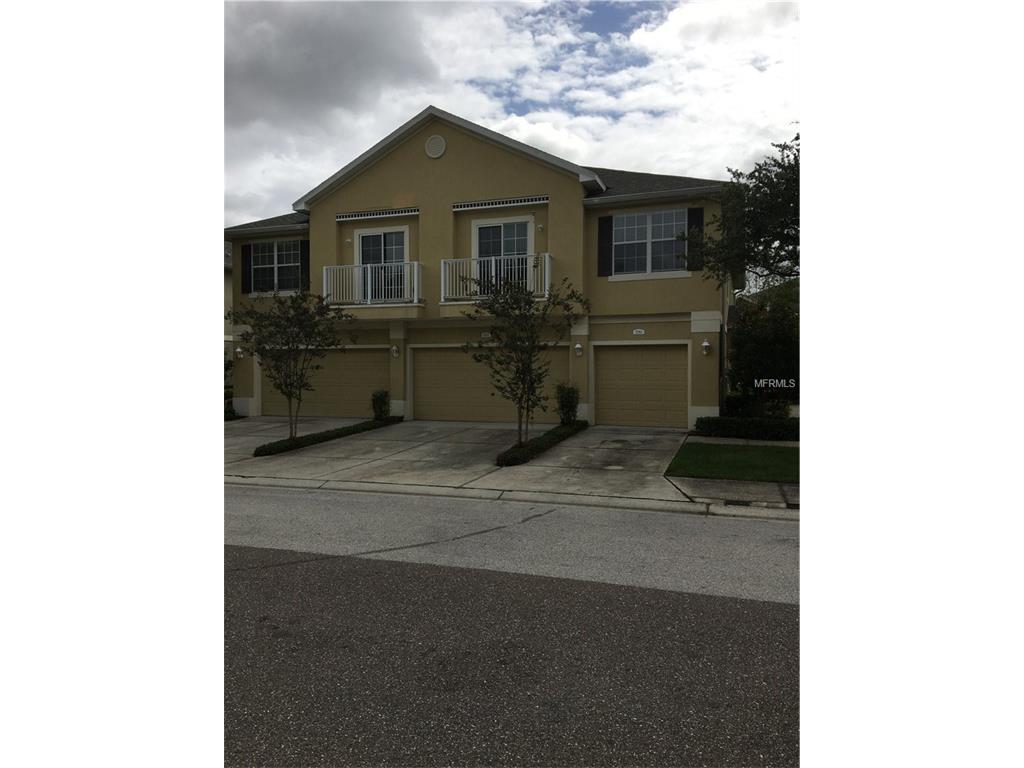 6780 Breezy Palm Dr, Riverview, FL 33578 photo 1