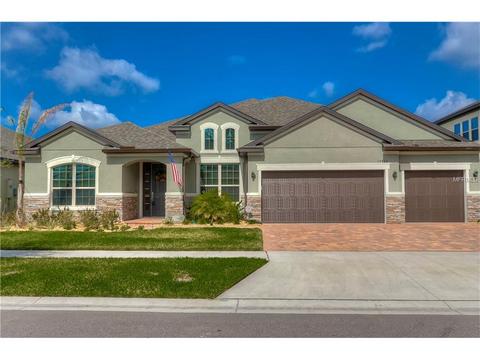 10432 Alcon Blue Dr, Riverview, FL 33578 photo 1