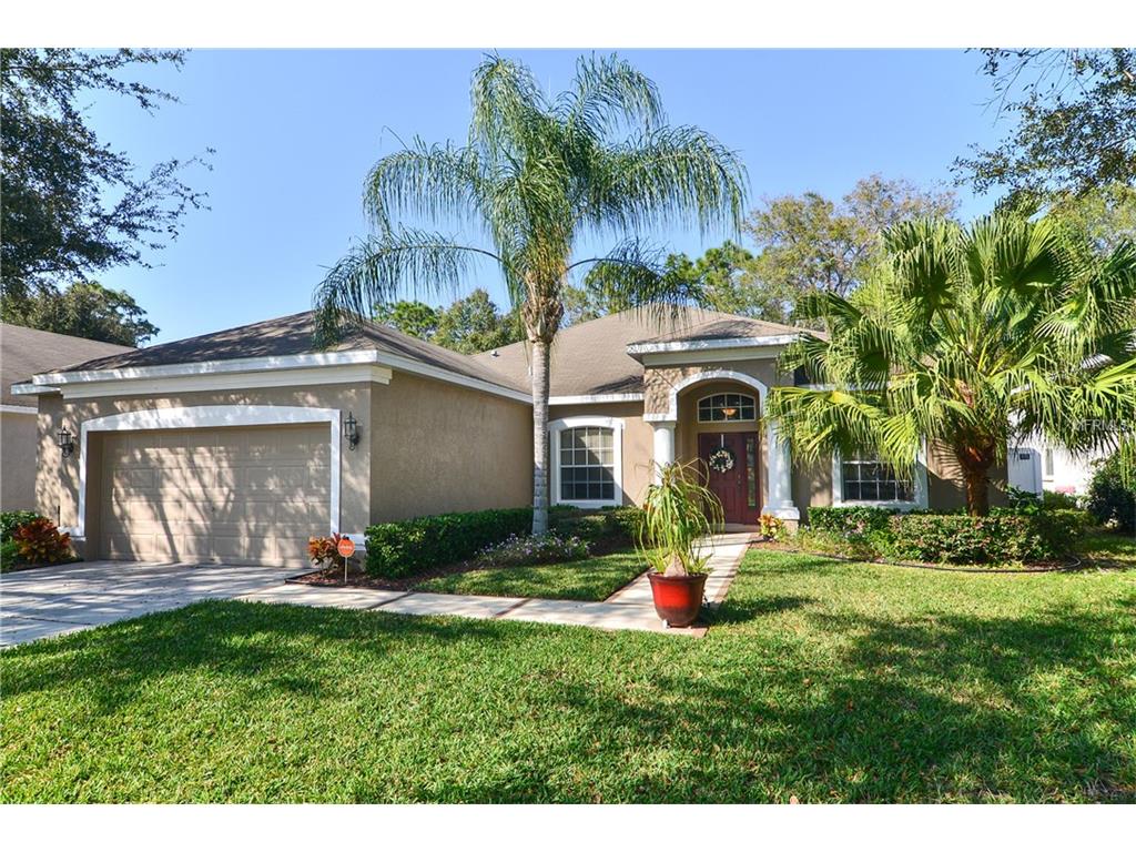 12818 Cattail Shore Ln, Riverview, FL 33579 photo 1