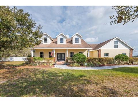13202 Emerald Acres Ave, Dover, FL 33527 photo 1