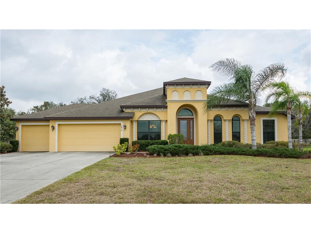 9419 Lisbon St, Seffner, FL 33584 photo 1