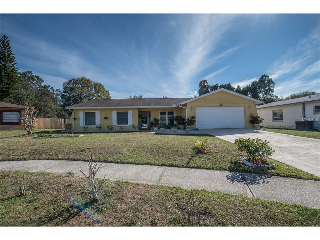 3905 Casaba Loop, Valrico, FL 33596 photo 1