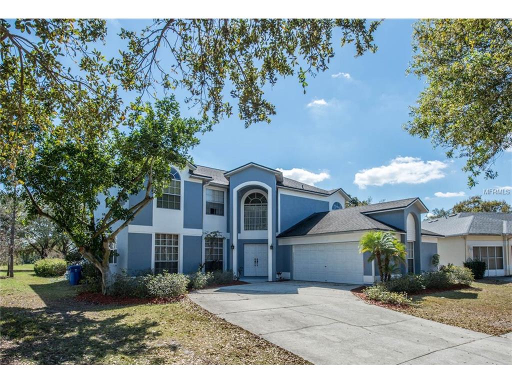 11227 Longbrooke Dr, Riverview, FL 33579 photo 1