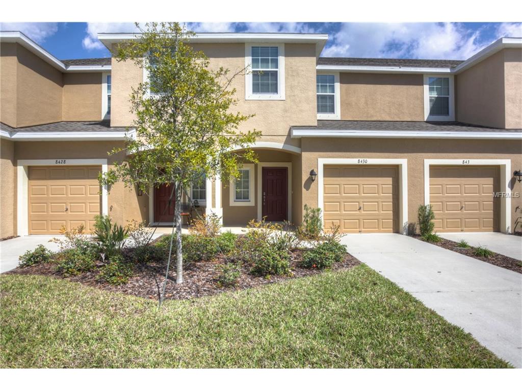 8430 Painted Turtle Way, Riverview, FL 33578 photo 1