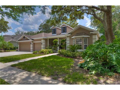 5753 Eaglemount Cir, Lithia, FL 33547 photo 1