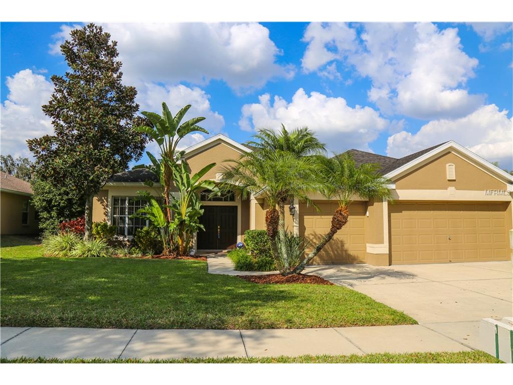 11115 Bridgecreek Dr, Riverview, FL 33569 photo 1