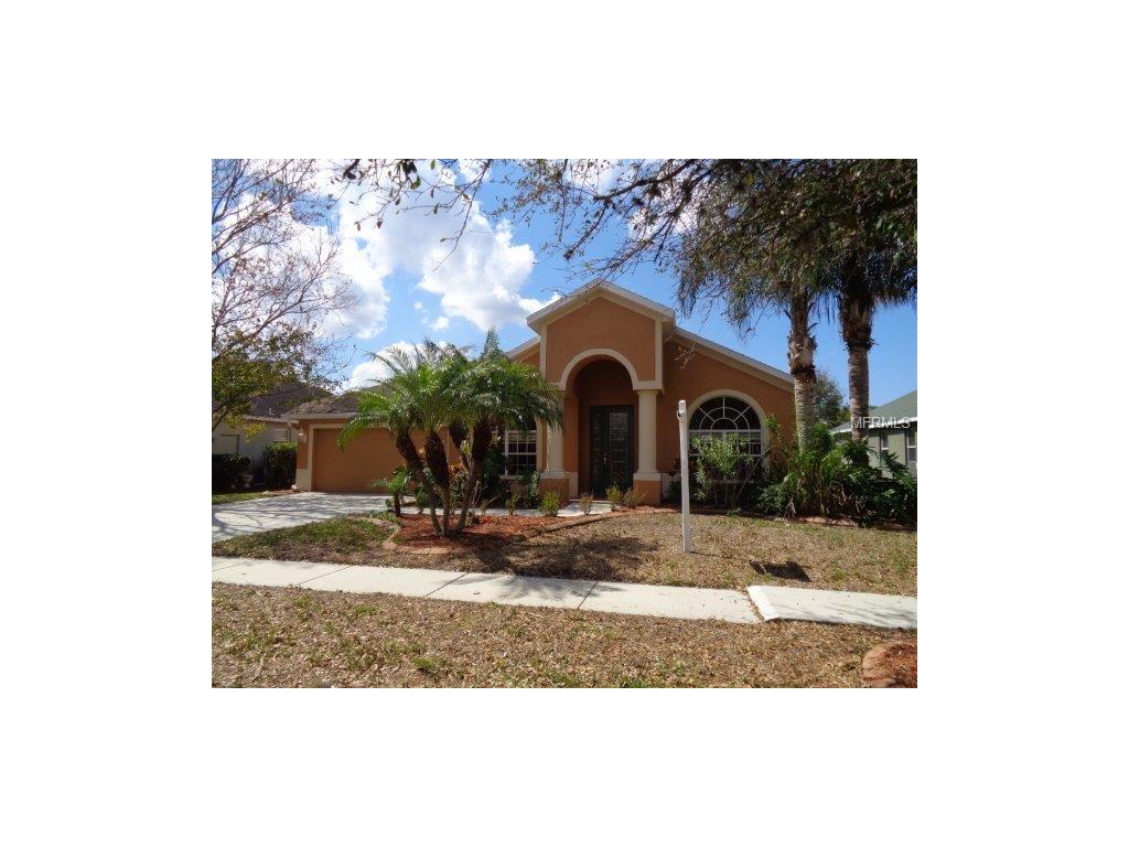 9029 Pinebreeze Dr, Riverview, FL 33578 photo 1
