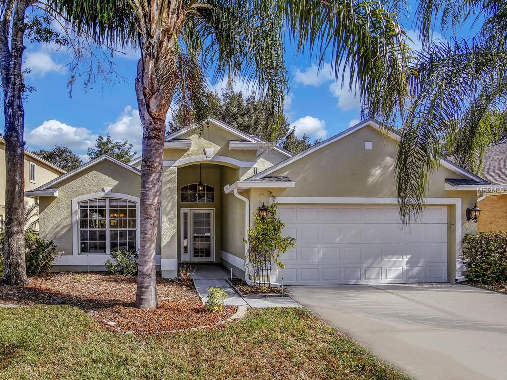 4036 Watercove Dr, Riverview, FL 33578 photo 1