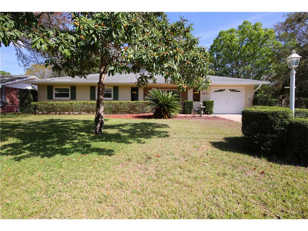 7414 Krycul Ave, Riverview, FL 33578 photo 1