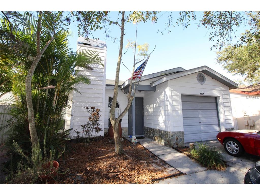 13414 Laraway Dr, Riverview, FL 33579 photo 1