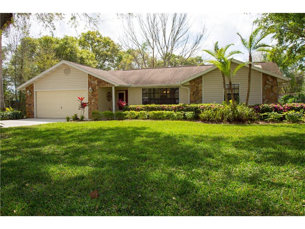 311 Hollowtree Dr, Seffner, FL 33584 photo 1