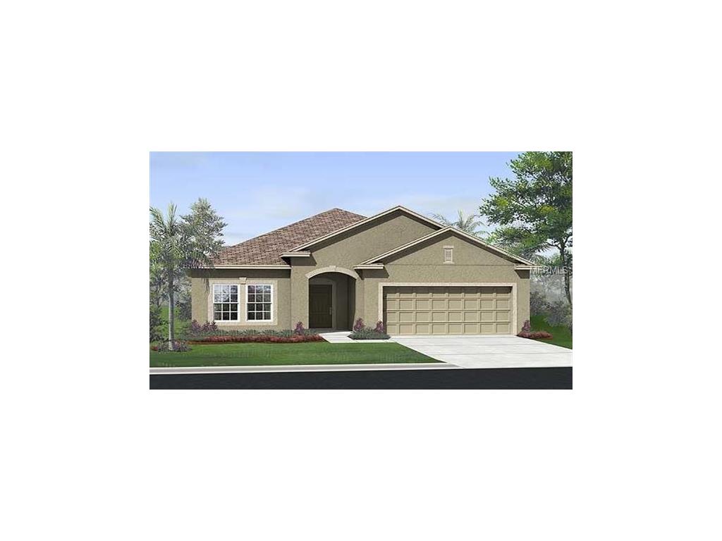 8117 Brickleton Woods Ave, Riverview, FL 33578 photo 1