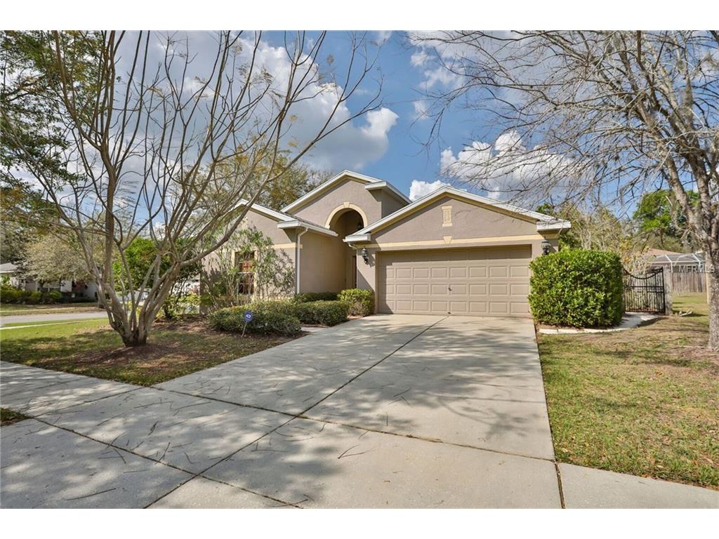 717 Coade Stone Dr, Seffner, FL 33584 photo 1