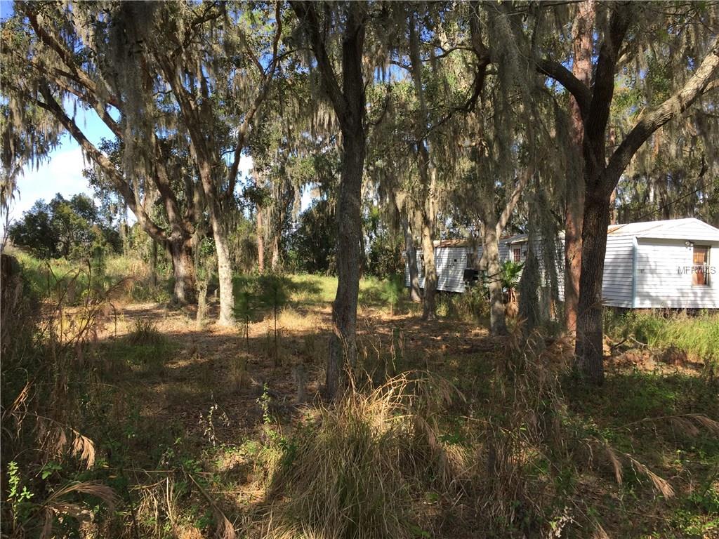 1905 Hollifields Ln, Dover, FL 33527 photo 1