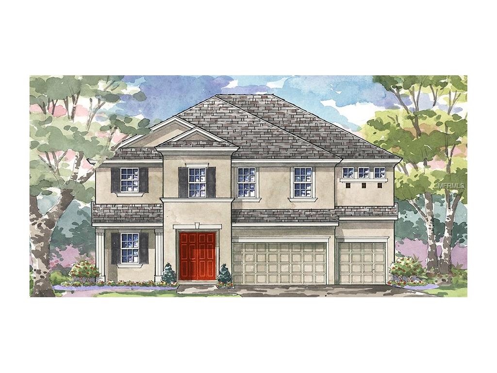 6207 Knob Tree Dr, Lithia, FL 33547 photo 1