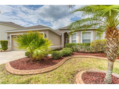 13930 Chalk Hill Pl, Riverview, FL 33579 photo 1