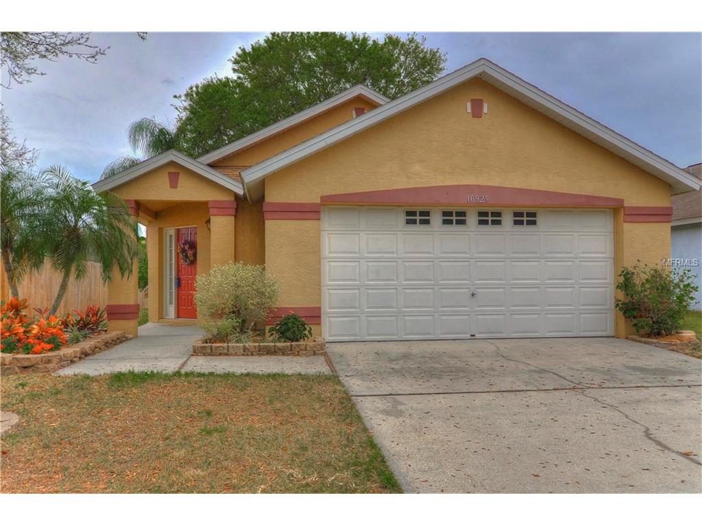 10929 Brucehaven Dr, Riverview, FL 33578 photo 1