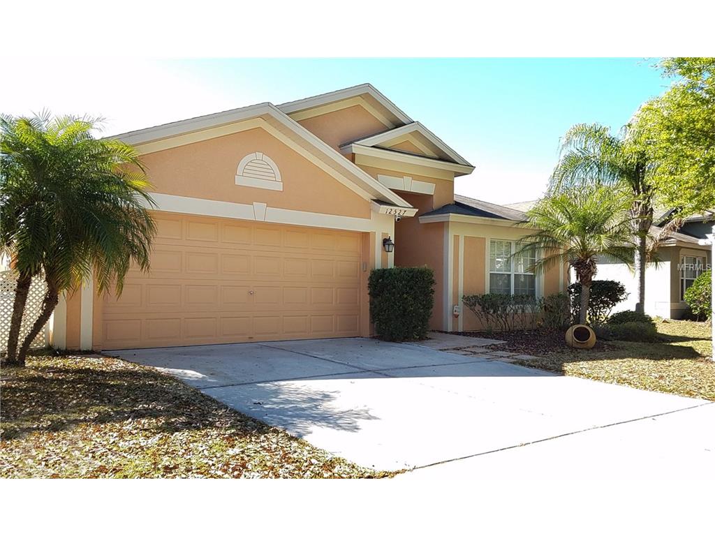 12527 Herons Path Pl, Riverview, FL 33578 photo 1