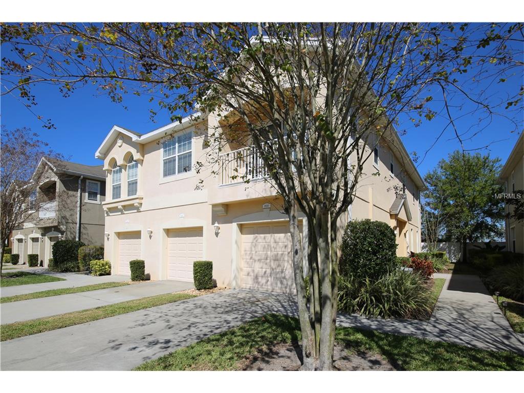 8828 Moonlit Meadows Loop, Riverview, FL 33578 photo 1