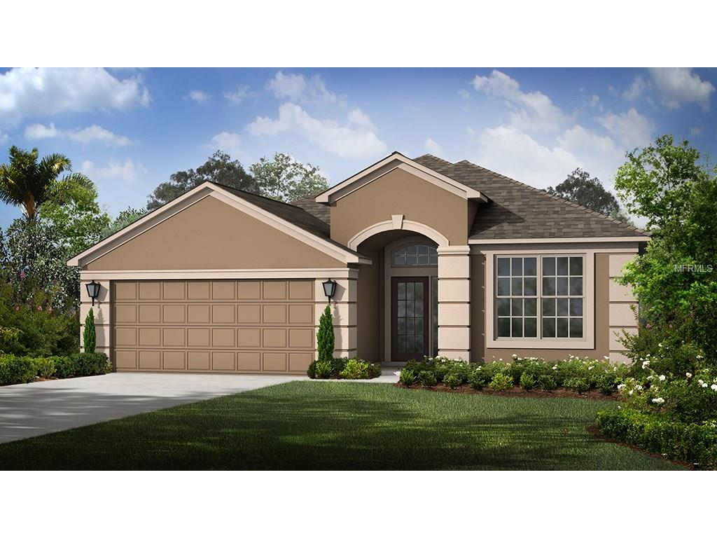 8326 Willow Beech Dr, Riverview, FL 33578 photo 1