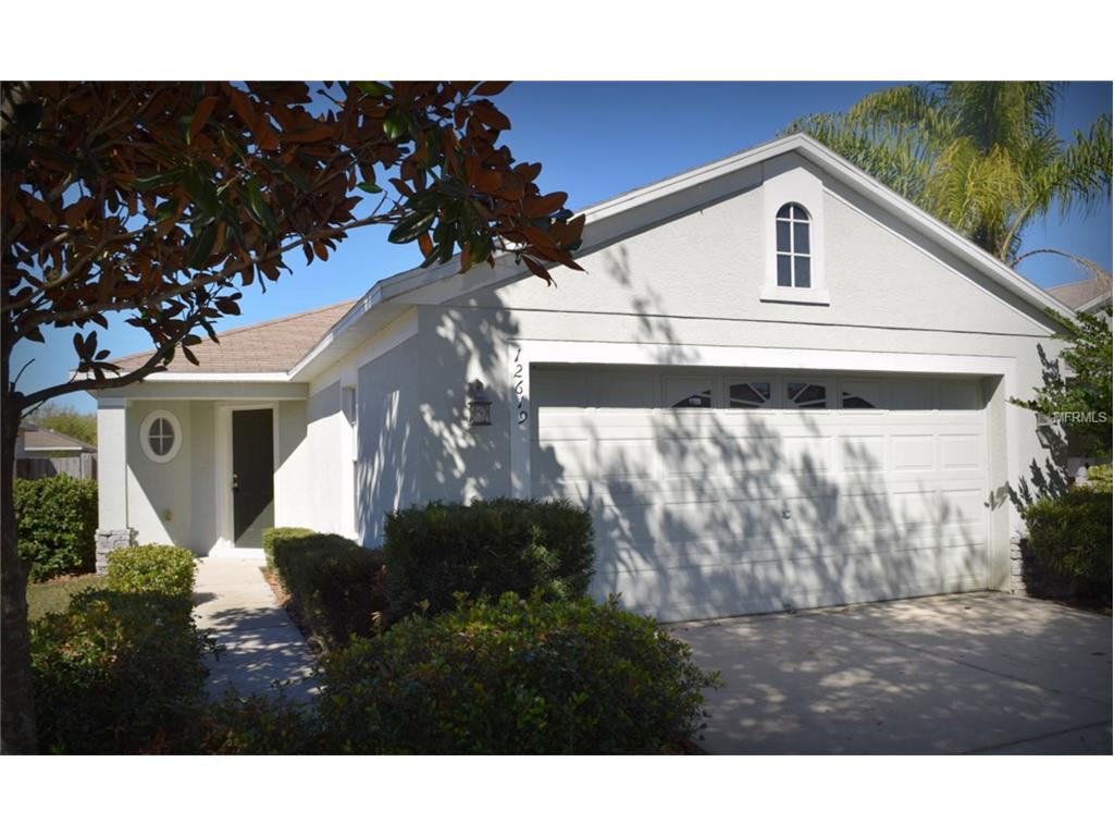 12619 Ocelot Pl, Riverview, FL 33579 photo 1