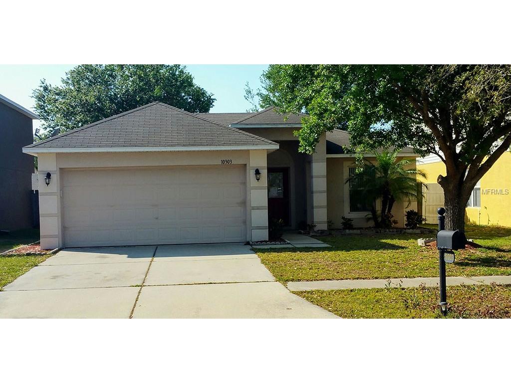 10303 Frog Pond Dr, Riverview, FL 33569 photo 1