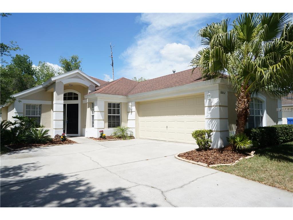 16852 Hawkridge Rd, Lithia, FL 33547 photo 1