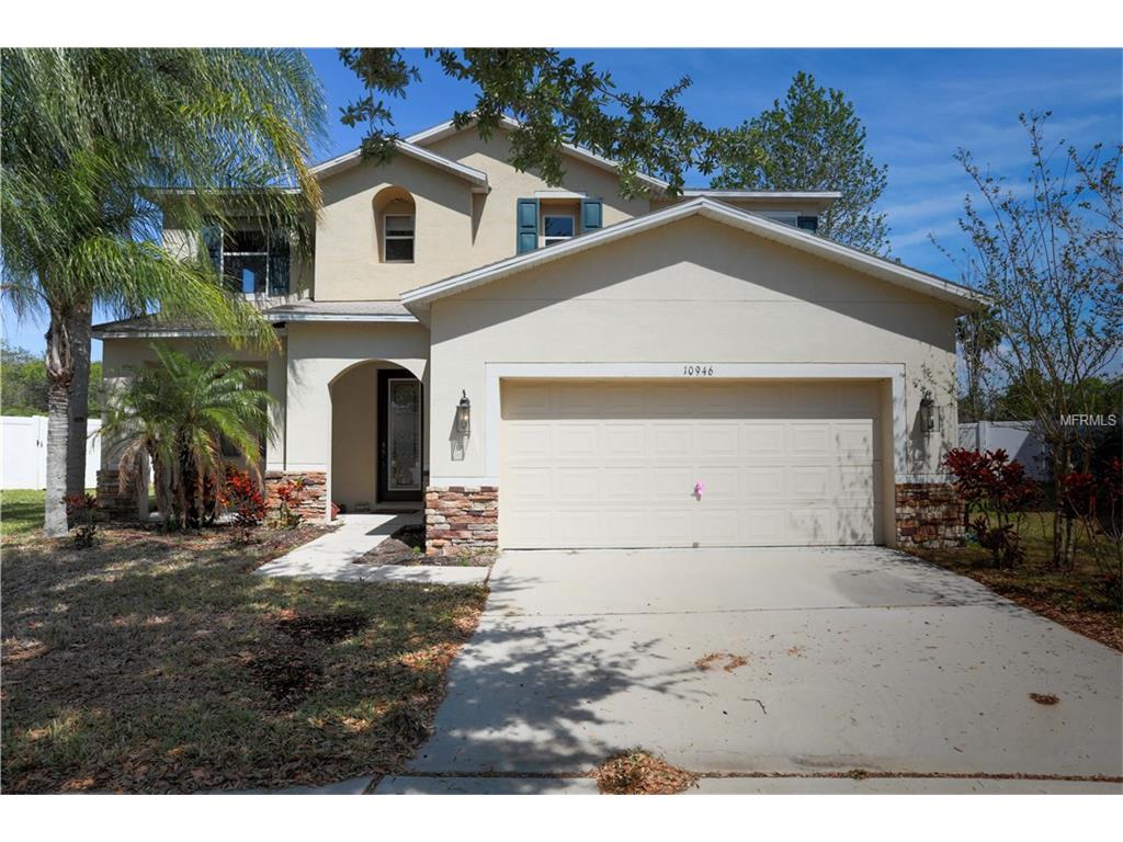 10946 Subtle Trail Dr, Riverview, FL 33579 photo 1