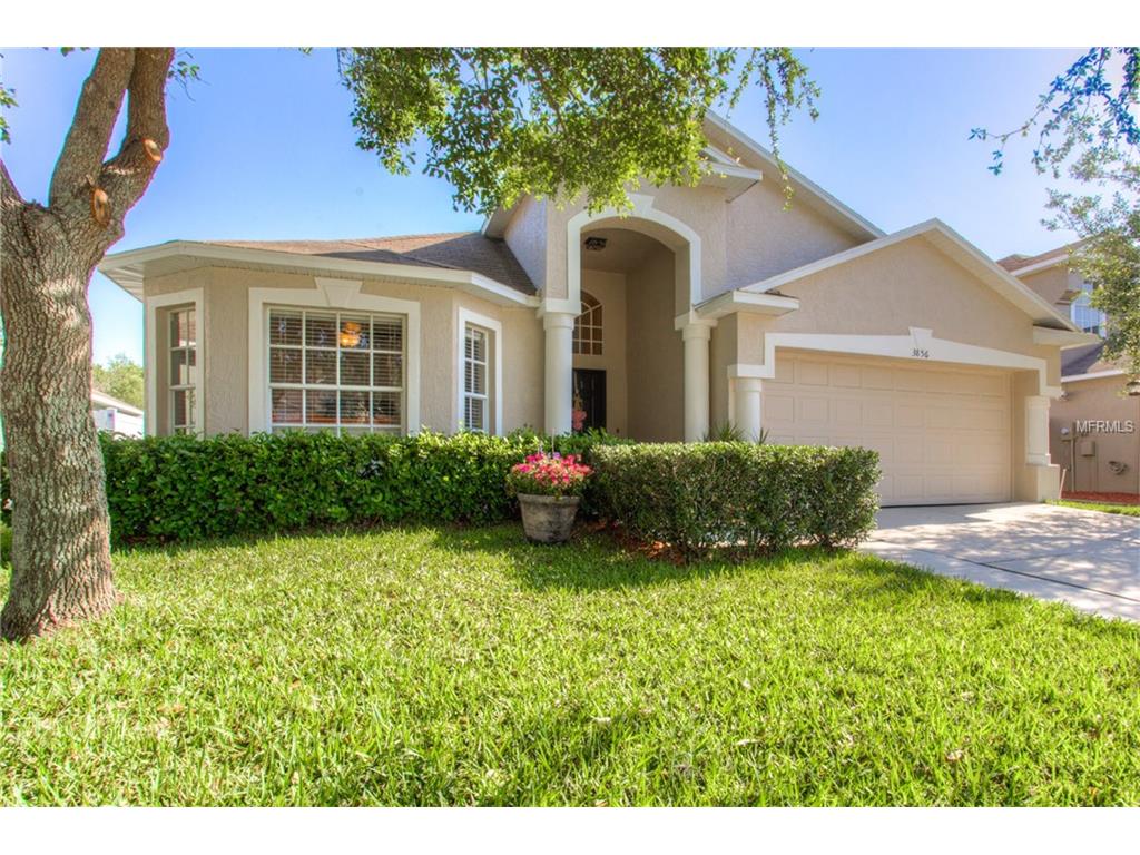 3856 Bellewater, Riverview, FL 33569 photo 1