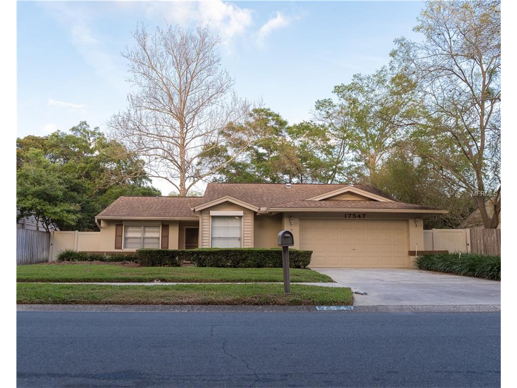 17547 Willow Pond Dr, Lutz, FL 33549 photo 1