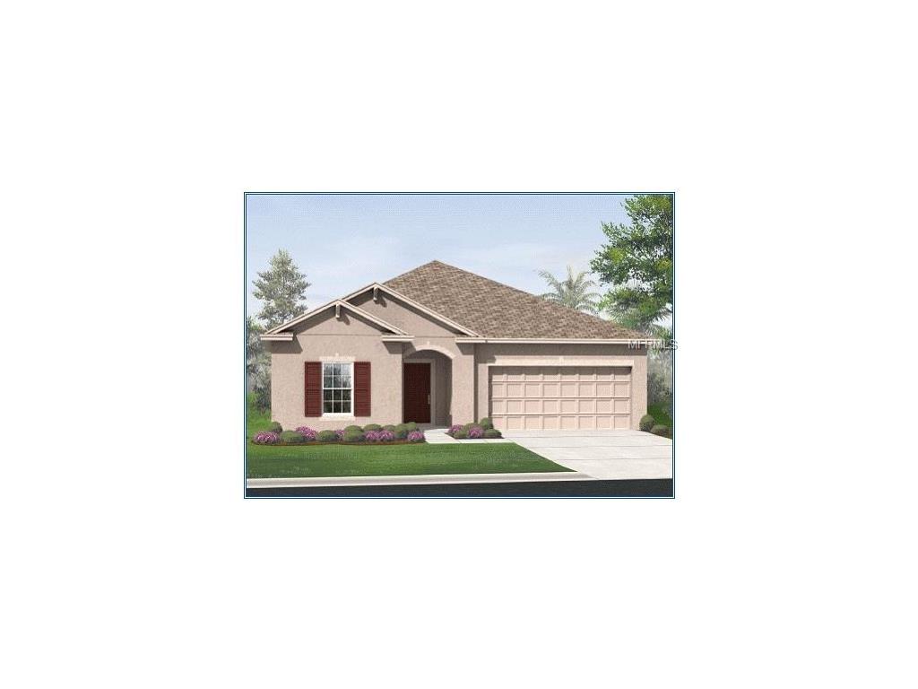 8137 Brickleton Woods Ave, Riverview, FL 33578 photo 1