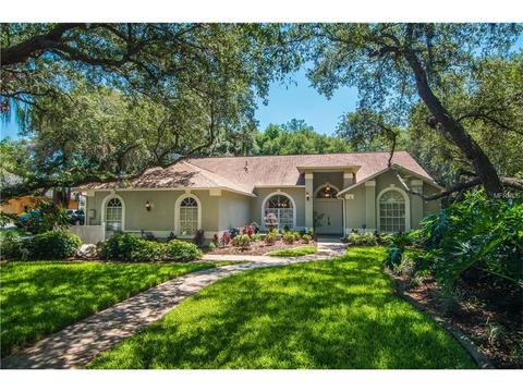 8904 Eagle Watch Dr, Riverview, FL 33578 photo 1