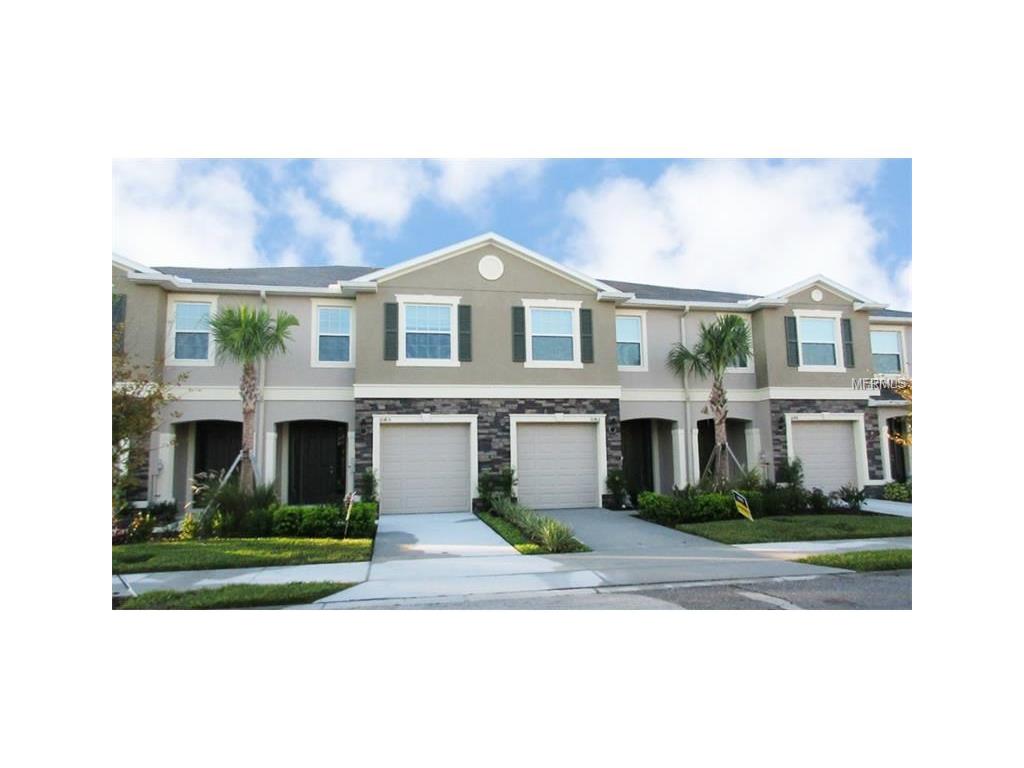 10426 Red Carpet Ct, Riverview, FL 33578 photo 1