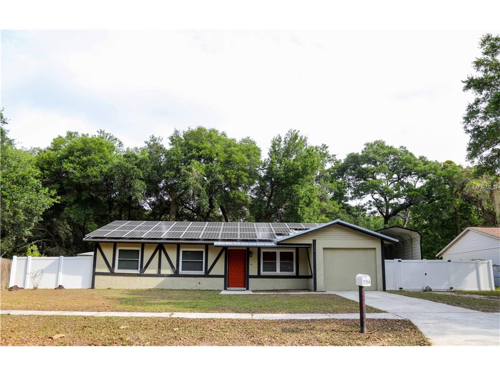 1134 Oakhill St, Seffner, FL 33584 photo 1