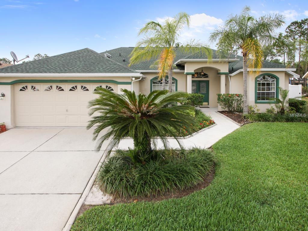 22544 Willow Lakes Dr, Lutz, FL 33549 photo 1