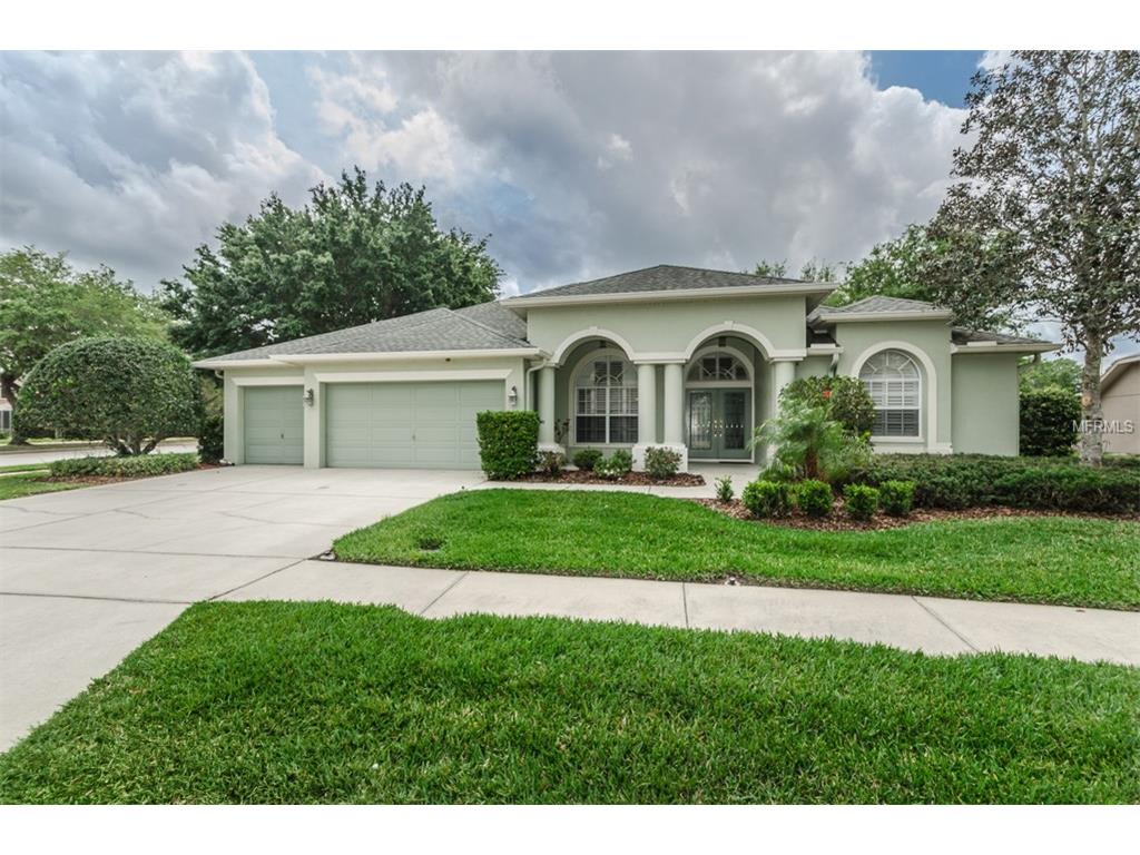 1005 Arlinbrook Dr, New Port Richey, FL 34655 photo 1