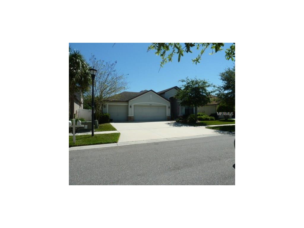 8420 White Poplar Dr, Riverview, FL 33578 photo 1