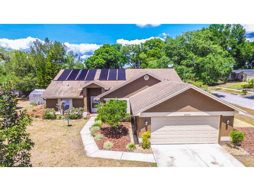 24203 Hampton Pl, Lutz, FL 33559 photo 1