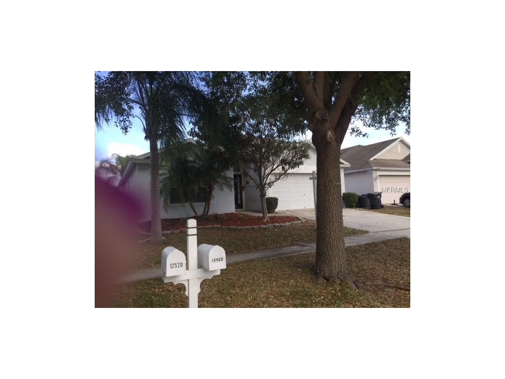 12522 Herons Path Pl, Riverview, FL 33578 photo 1
