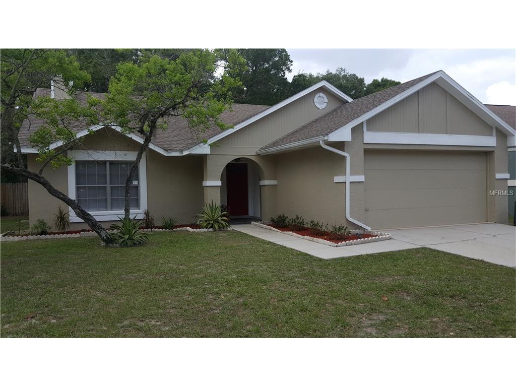 2029 Shadow Pine Dr, Brandon, FL 33511 photo 1