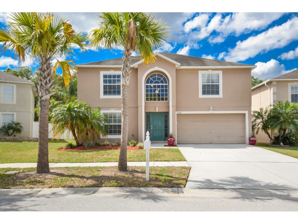 12948 Tribute Dr, Riverview, FL 33578 photo 1